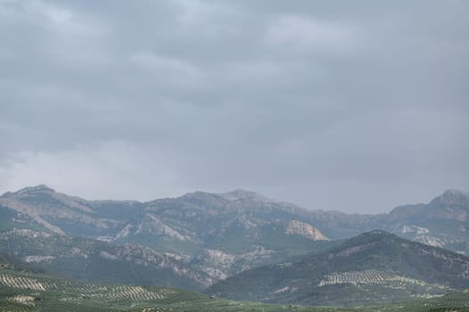 The beautiful view of mountain ridge with agricultural fields of Olive in the province of Jaen, Andalusia. Spain