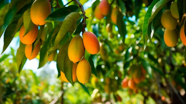 Mango garden on trees. Generative Ai, Nature,