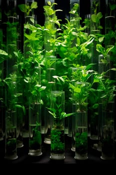 Plants in test tubes in the laboratory. Generative AI, nature.