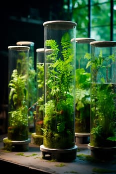 Plants in test tubes in the laboratory. Generative AI, nature.