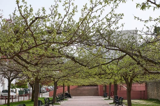 City square with benches and trees shading the pedestrian walkway. Urban background