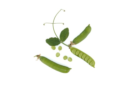 Open pea pod and round green peas inside, green leaf with a pointed tip and pea pods in close up isolated on white background