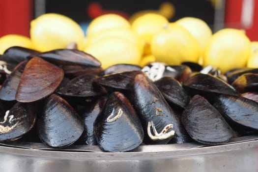 Fresh Black Shell Recipe With Lemon Turkish Food.