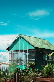 A small green house with a glass roof and a door. The house is surrounded by potted plants