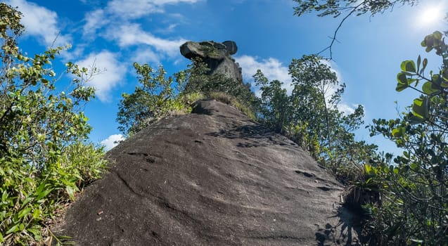 A unique papagayo rock formation amidst tropical vegetation under a bright, sunny sky.