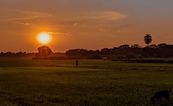 A picturesque sunset paints the sky in vibrant hues of orange and yellow, casting a warm glow over a lush green field. The setting sun, appearing as a large, bright orb, is the focal point of the image. A lone figure walks towards the horizon, their silhouette blending seamlessly with the surrounding trees and landscape.