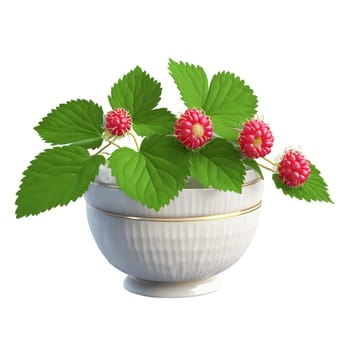 Luscious thimbleberries Rubus parviflorus nestled in a delicate porcelain dish showcasing their soft appearance. Food isolated on transparent background