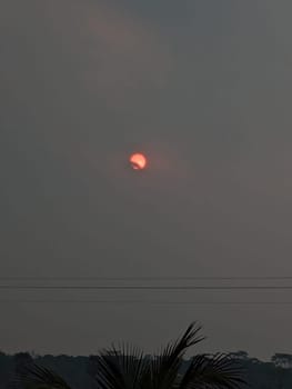 The image captures a sunset with the sun partially obscured by clouds. The sun appears as a bright orange orb in the hazy sky, with a palm tree silhouetted in the foreground and power lines crossing the bottom of the image. The sky is a gradient of gray, fading to a lighter color towards the horizon.