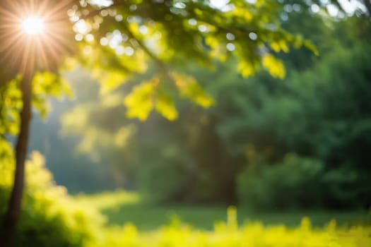 Summer bokeh texture. Tree leaves and grass in sunlight. High quality photo