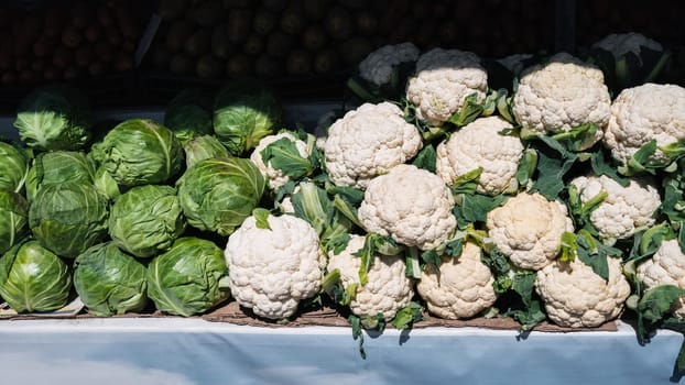 fresh harvest of raw cauliflower and cabbage on the shelf at the vegetable farmers market
