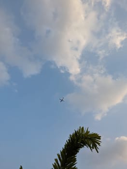 A single airplane flies through a bright blue sky with white puffy clouds. A single palm tree frond is visible in the lower right corner of the photo.