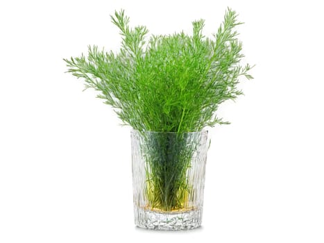 Dill Tea Digestive dill tea in a sleek glass with dill leaves and a fresh. Drink isolated on transparent background.