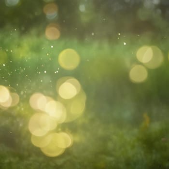 Summer bokeh texture. Tree leaves and grass in sunlight. High quality photo