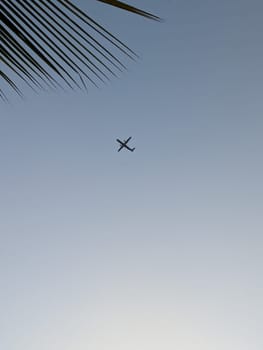A single airplane flies high in a clear blue sky, visible through the fronds of a palm tree in the foreground. The plane is a small, dark silhouette against the bright sky.