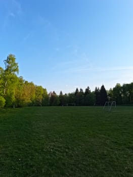 A football field in the middle of the forest. White football gates . High quality photo