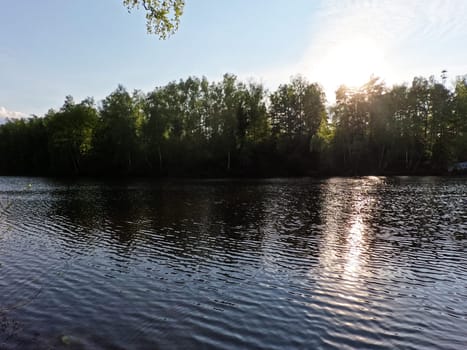 Birch trees in the sunlight on a hill next to the lake. High quality photo