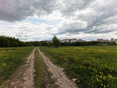 A beautiful green summer meadow with coltsfoot flowers and trees. Freshness, coolness, shade under the blue sky. Town near the nature. High quality photo