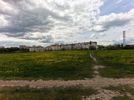 A beautiful green summer meadow with coltsfoot flowers and trees. Freshness, coolness, shade under the blue sky. Town near the nature. High quality photo