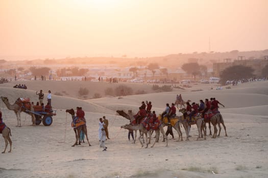 line of camels carrying people tourists at sunset across thar desert in jaisalmer rajasthan showing a popular tourist activity India