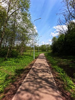 A path in a green park. High quality photo