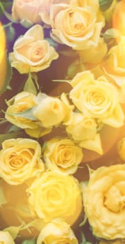 bouquet of yellow roses in sunlight - springtime, mother's day and holiday styled concept