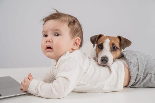 Cute baby boy and Jack Russell terrier dog working on a laptop