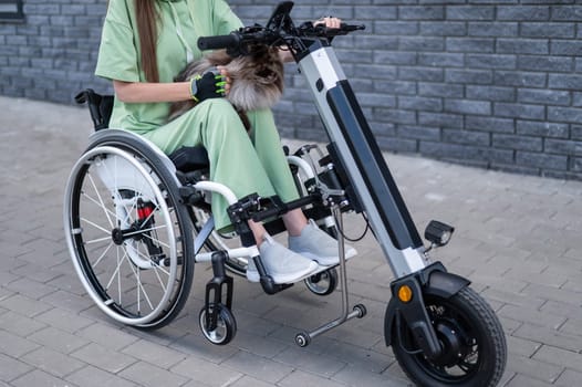 A woman in a wheelchair with a hand-control assist device carries a Spitz merle dog. Electric handbike