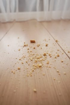 Dirt and dust on wooden floor