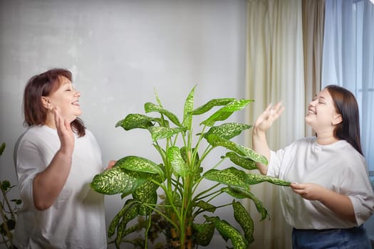 Happy Overweight family with mother and daughter in room with Diffenbachia. Middle aged woman and teenager girl having fun and joy