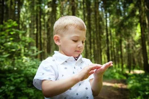 Young Boy in Sunlit Forest. Cute child bathed in dappled sunlight among trees. Walk, rest and nature