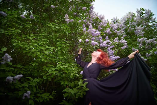 Elegant senior mature Woman in Black Dress by Blooming Lilac Bush at Dusk. Woman with red hair stands poised among lilac blooms