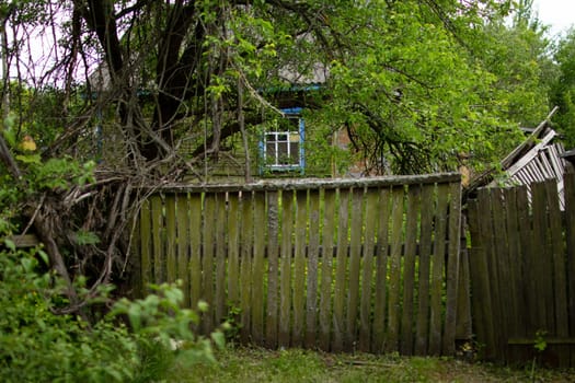 Old fence of an abandoned house. High quality photo. The fence is covered with moss. An abandoned house in the village.