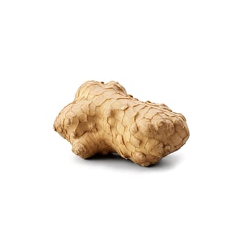 Fresh ginger root light brown skin textured surface irregular shape Food and culinary concept. Food isolated on transparent background.