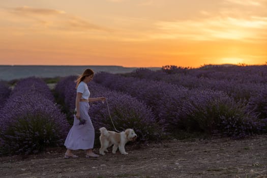 A woman is walking her dog in a field of lavender. The sky is orange and pink, creating a warm and peaceful atmosphere