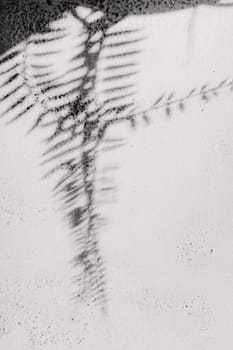 Beautiful gray stone background with black shadows from palm branches on the sides, close-up side view. Black and white.