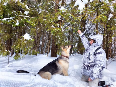 Adult girl or mature lady with shepherd dog in winter nature landscape in forest. Middle aged woman training big shepherd dog in cold day. Friendship, love, communication, fun, hugs