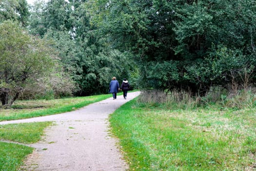 Walk with friends in the park. Two young people are walking along the road in the forest. High quality photo