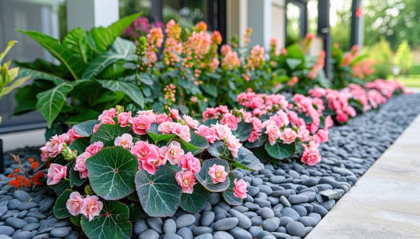 Beautiful pink flowers in full bloom next to a house create a stunning display of natures colors on the sidewalk