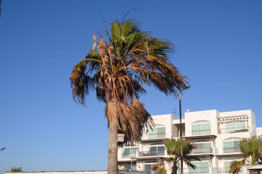 residential complex with white villas on the Mediterranean coast in Northern Cyprus