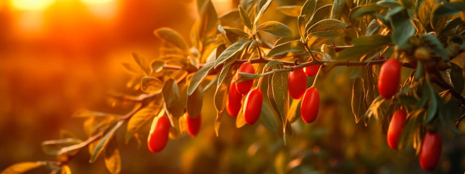 Goji berries grow on a tree in a harvest garden. Generative Ai, Food.
