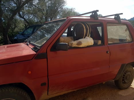 A beekeeper in a protective suit driving his car just back from work on a summer day.