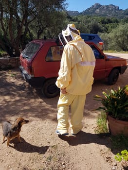 A beekeeper in a protective suit just returning from work on a summer day.