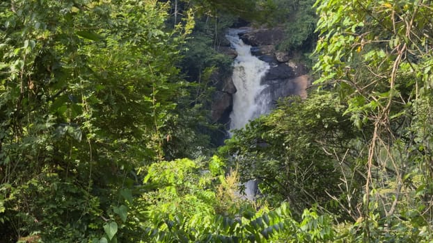 Remote jungle waterfall, obscured by dense greenery and inaccessible terrain.