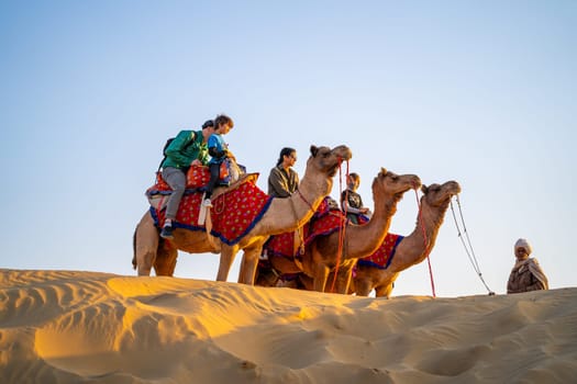Jaisalmer, Rajasthan, India - 25th Dec 2023: Tourists sitting on colorfully decorated camels on the golden sands of thar desert in Sam