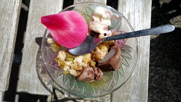 A cup of mixed ice cream with rhubarb, vanilla and chocolate decorated with a flower petal.