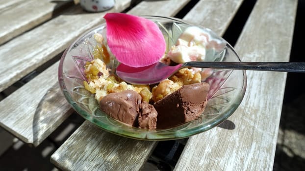 A cup of mixed ice cream with rhubarb, vanilla and chocolate decorated with a flower petal.