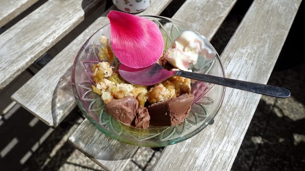 A cup of mixed ice cream with rhubarb, vanilla and chocolate decorated with a flower petal.