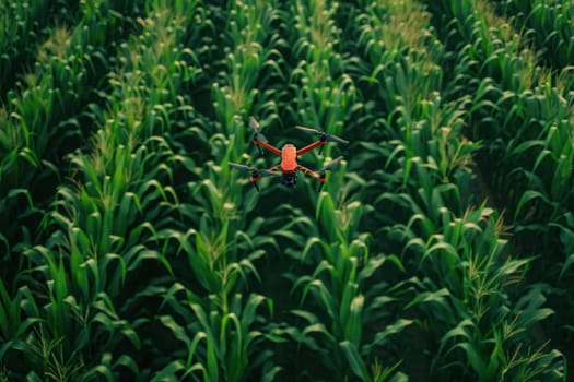 Red drone flying over verdant corn field in the heart of lush green landscape