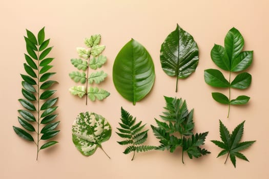 Various types of leaves on a beige background top view flat lay for nature, travel, art, and beauty concepts