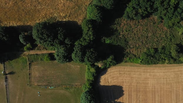Top Down Aerial View of Green and Yellow Wheat Field Farm and Greenhouses. Golden Crops During Pasture Aerial View. Agricultural Work in Summer During Drought. Grain Crisis. Nature, Harvesting, Eco